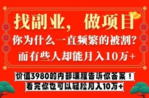 价值3980的网创内部课程，告诉你互联网创业月入10个W的秘密【揭秘】-云途资源库