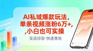 AI私域爆款玩法，单条视频涨粉6W+，小白也可实操-云途资源库