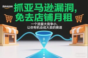 抓亚马逊漏洞，免去店铺月租，一个流量大竞争小，让你有机会成大卖的赛道-云途资源库