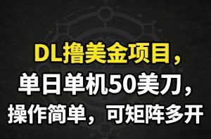 DL撸美金项目，单日单机50美刀，操作简单，可矩阵多开-云途资源库