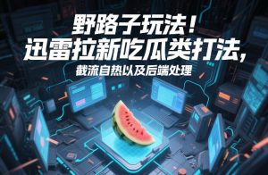 野路子玩法！迅雷拉新吃瓜类打法，截流自热以及后端处理-云途资源库