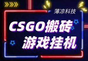 CSGO游戏挂G游戏搬砖最新升级，普通小白一部手机可日入3张+当天见结果，支持验证【揭秘】-云途资源库