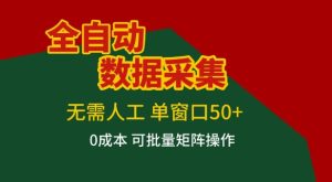 全自动数据采集项目，无需人工，单窗口可达50+收益，操作简单无难度，一个人也能轻松实现矩阵【揭秘】-云途资源库