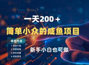 一天收入2张，一个简单小众的咸鱼项目，0门槛小白也能做-云途资源库