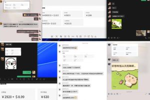雷神加速器项目模拟器_无脑1分钟1条视频矩阵_疯狂报单打法【焚诀】-云途资源库