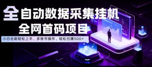 全自动数据采集挂G,全网首码项目,简单易操作,小白也能轻松上手,多账号操作,轻松日入500+【揭秘】-云途资源库