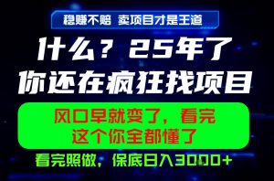26年,请不要疯狂的找项目做了!卖项目才是真的稳賺不赔,看完照做,保底日入1k+【揭秘】-云途资源库