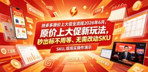 拼多多原价上大促全流程,原价上大促新玩法,秒出标不用等、无需改动SKU,现场实操演示(2026年6月)-云途资源库
