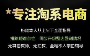 松鼠会电商VIP课程,从基础布局到高阶优化,助你掌握淘宝运营逻辑,提升店铺流量与转化-云途资源库